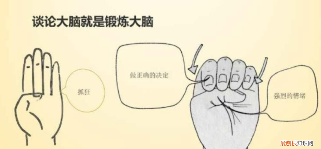 小孩子如何提高专注力，如何锻炼孩子大脑，提升孩子的专注力和控制力呢？