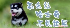 怎么让哈士奇不乱拉屎，如何不让哈士奇在家大小便