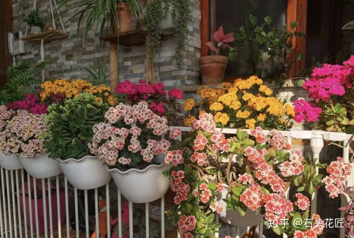 椰糠改善土壤板结,用椰糠养花,第1步最关键,做错了土壤容易盐碱化