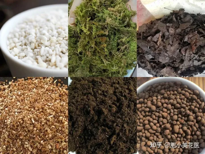 盆栽需要什么样的土壤，养花第一步，先选对盆土！好的土壤让你的种植事半功倍