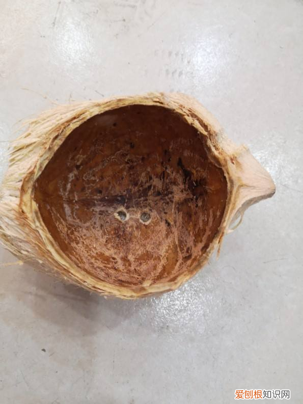 养花有哪些技巧，“养花新玩法”，5种脑洞大开的技巧，你学会几个？