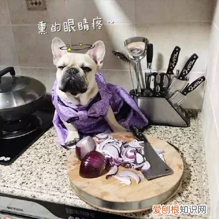 必知生活常识,生活常识:10个不可不知道的生活常识