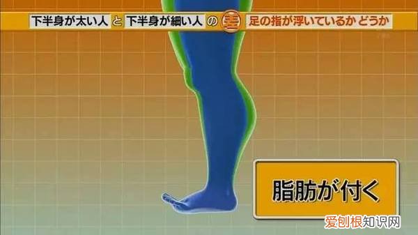 很多人不知道的常识，有哪些常人不知道的「常识」？