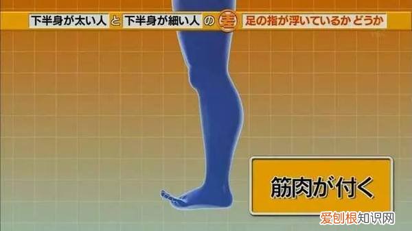 很多人不知道的常识，有哪些常人不知道的「常识」？