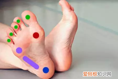 很多人不知道的常识，有哪些常人不知道的「常识」？