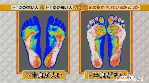 很多人不知道的常识，有哪些常人不知道的「常识」？