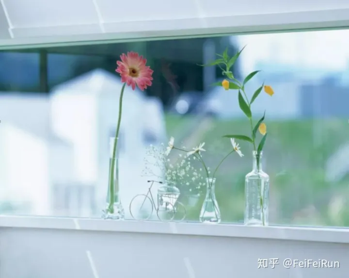 花间密码公司，花间密码教您如何鲜花养护