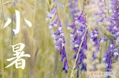 2023年7月几号小暑 2023年7月7日小暑