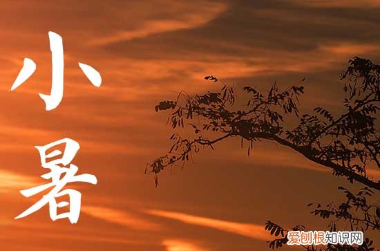 2023小暑是哪天几点几分 2023年小暑是什么时间