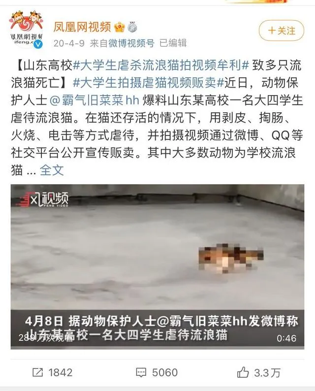 善待动物的，善待动物，善待自己