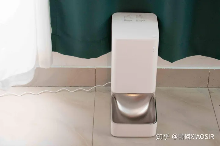 宠物陪你是他的一生,善待爱宠,从根本上解决它的一日三餐开始