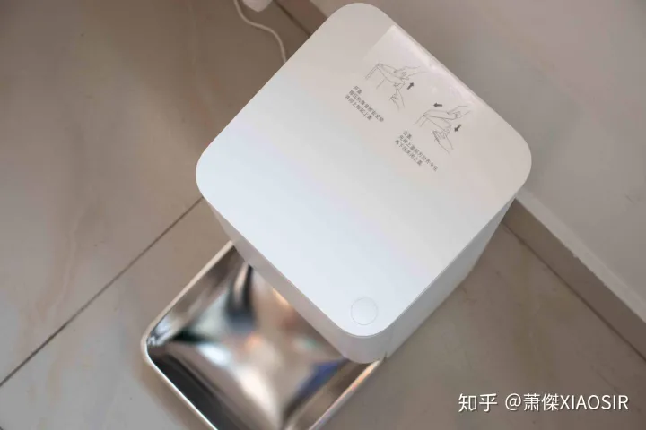 宠物陪你是他的一生,善待爱宠,从根本上解决它的一日三餐开始