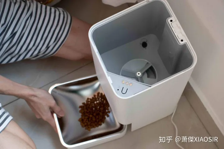 宠物陪你是他的一生,善待爱宠,从根本上解决它的一日三餐开始