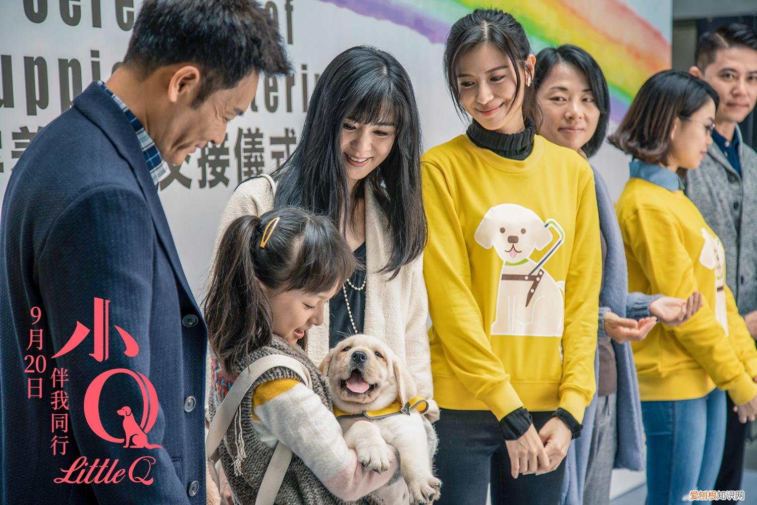 天使狗叫什么,狗狗是坠入人间的天使,请善待它们,谨以此篇献给所有爱狗人士