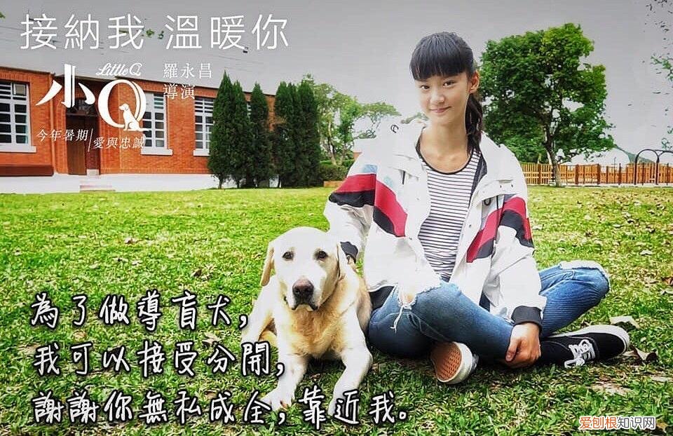 天使狗叫什么,狗狗是坠入人间的天使,请善待它们,谨以此篇献给所有爱狗人士