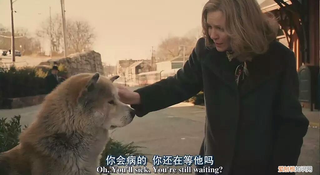 《忠犬八公的故事》观后感600字，观忠犬八公的故事有感，请善待你身边的宠物