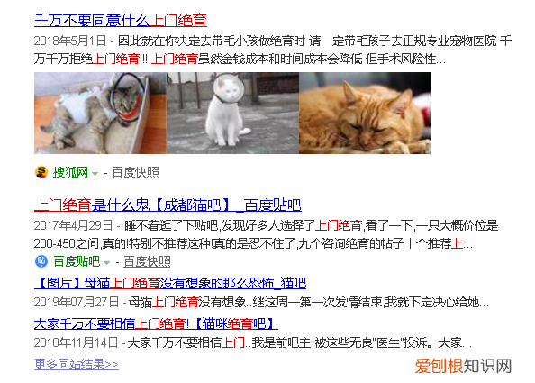公猫绝育多少钱,母猫绝育多少钱,猫绝育要多少钱，公猫绝育要多少钱?