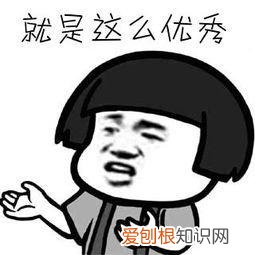 专业撰写英语演讲稿、英文简历、英文PPT、英语自我介绍 英语演讲稿常用句型,干货!英语演讲稿写作万能句型分享