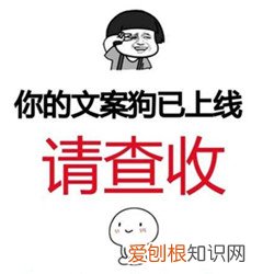 专业撰写英语演讲稿、英文简历、英文PPT、英语自我介绍 英语演讲稿常用句型,干货!英语演讲稿写作万能句型分享