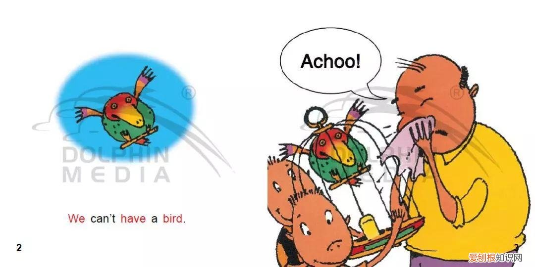 培生幼儿英语level a和预备级先学哪个，培生幼儿英语·预备级19｜完美宠物，The Perfect Pet