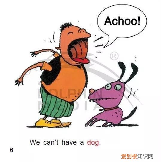 培生幼儿英语level a和预备级先学哪个，培生幼儿英语·预备级19｜完美宠物，The Perfect Pet