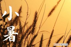 2023年7月7日是什么节气 2023年7月7日是小暑节气吗
