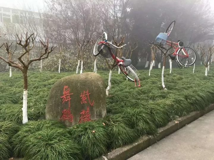 美院的美术学学什么，读美院是什么样的体验?