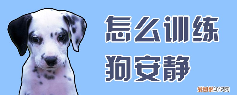 怎么训练狗安静,怎么训练狗安静让我穿衣服