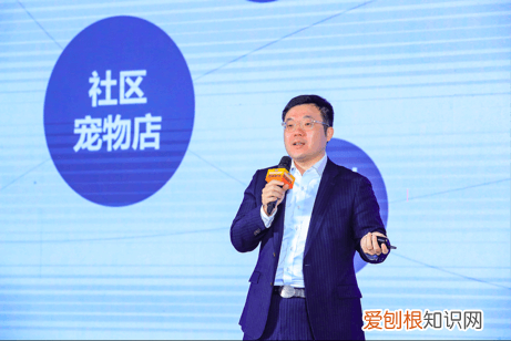 比瑞吉狗粮，比瑞吉CEO刘一：宠物行业数字化，产品、营销和渠道是关键