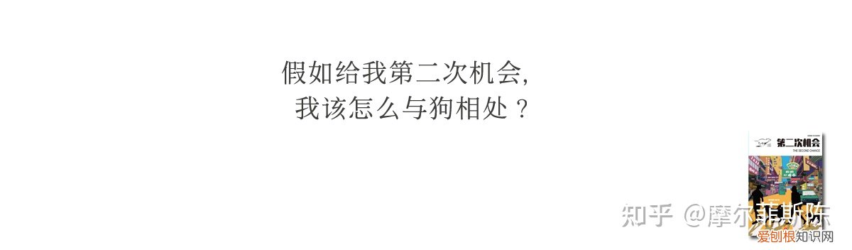 四 我想养一只狗的日记怎么写三年级，【第04章】写给想养狗的朋友的十句话：学习拯救一切，并且贯穿始终
