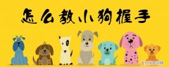 怎么教小狗握手，如何教狗狗握手?