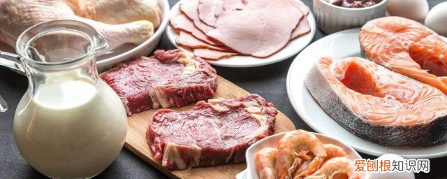 哪些食物是属于蛋白质 哪些属于蛋白质食物《蛋白质食物主要有哪些类型》