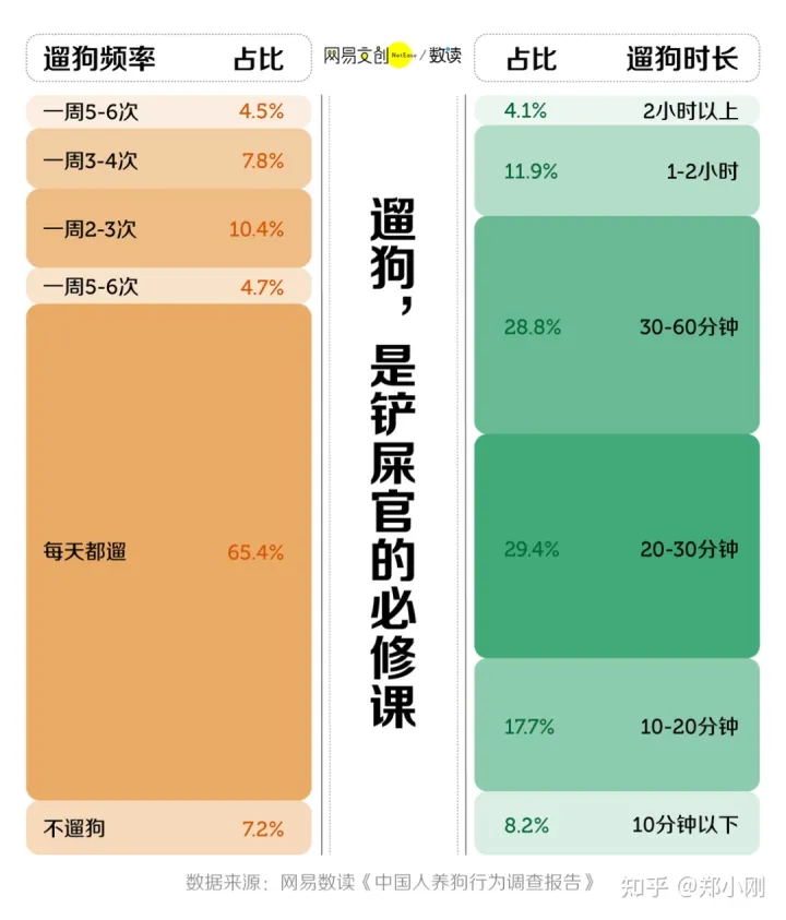 养宠物伤感情，养宠物的爱和恨，我们如何自处？