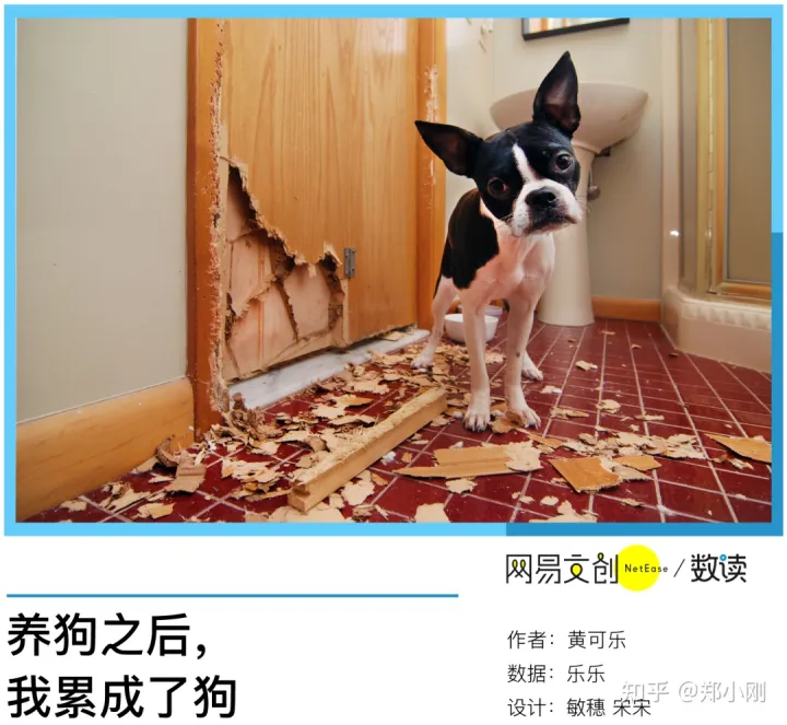 养宠物伤感情，养宠物的爱和恨，我们如何自处？