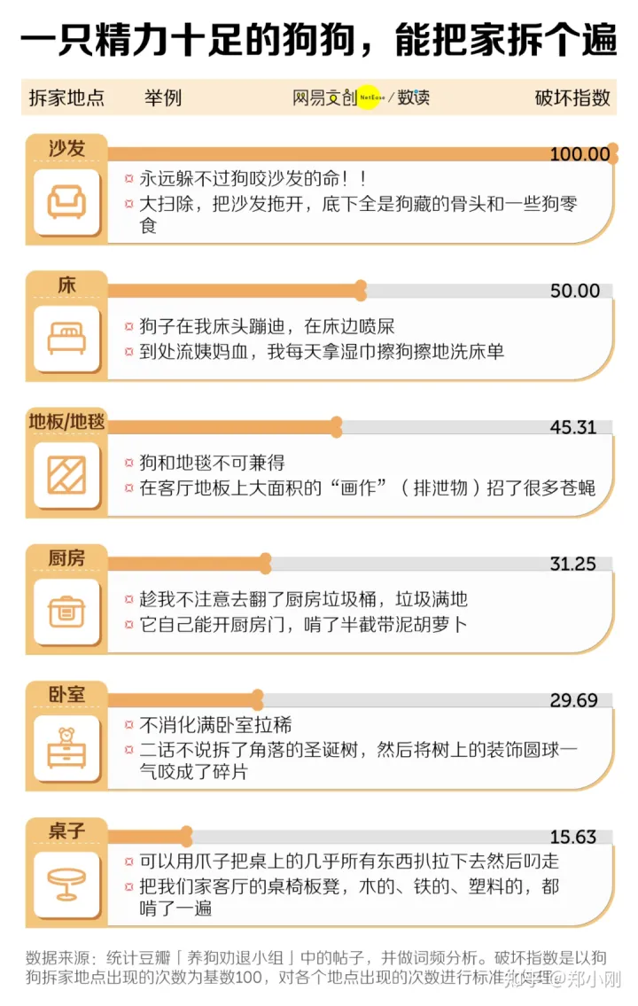 养宠物伤感情，养宠物的爱和恨，我们如何自处？