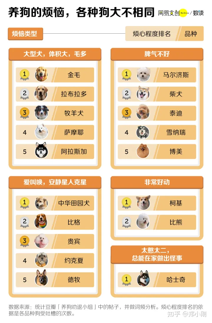 养宠物伤感情，养宠物的爱和恨，我们如何自处？