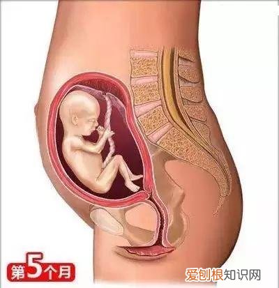 收藏用 孕妇是怎样生宝宝的，26个从怀孕到生娃的母婴常识！