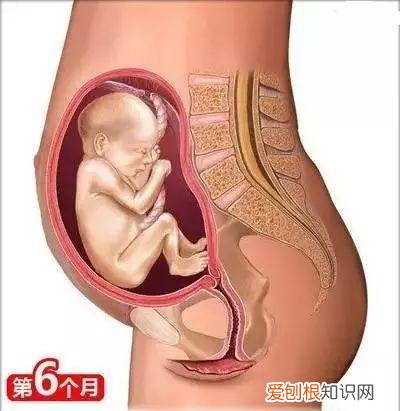 收藏用 孕妇是怎样生宝宝的，26个从怀孕到生娃的母婴常识！