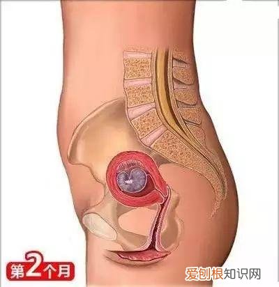 收藏用 孕妇是怎样生宝宝的，26个从怀孕到生娃的母婴常识！