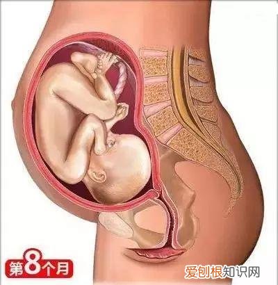 收藏用 孕妇是怎样生宝宝的，26个从怀孕到生娃的母婴常识！