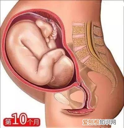 收藏用 孕妇是怎样生宝宝的，26个从怀孕到生娃的母婴常识！