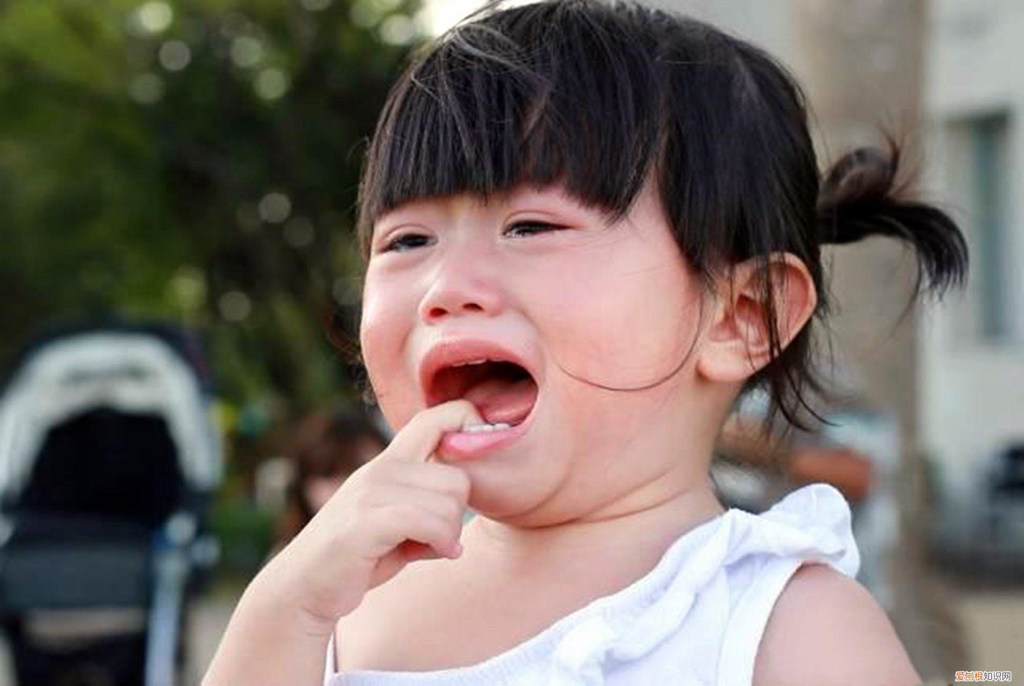 孩子入园希望与要求的句子，9月入园时，不想宝宝受委屈，家长最好提前准备几份“特殊礼物”