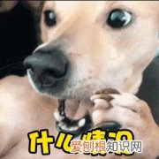 地道的英语不客气，地道英语怎么说不客气？不要总说 You’re welcome