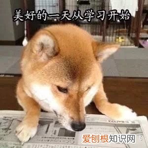 地道的英语不客气，地道英语怎么说不客气？不要总说 You’re welcome
