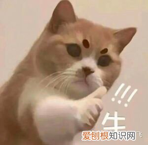 地道的英语不客气，地道英语怎么说不客气？不要总说 You’re welcome
