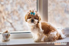 朋友圈用英语翻译，“朋友圈”英语怎么说？千万别直译成“friend circle”！