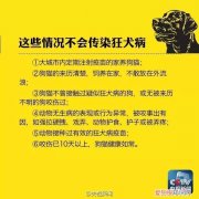 被小奶猫挠了一点点皮,被奶猫挠破一个小口,被幼猫挠破一点点表皮，被小奶猫挠破皮没流血