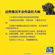 被小奶猫不小心划了手还用打针吗,被幼猫不小心抓了要不要打针,被小猫咪抓出血了要打针吗