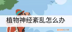 植物神经紊乱都有哪些症状和危害
