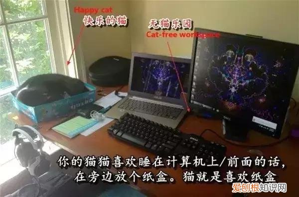 一些生活小妙招，你有哪些生活小妙招？